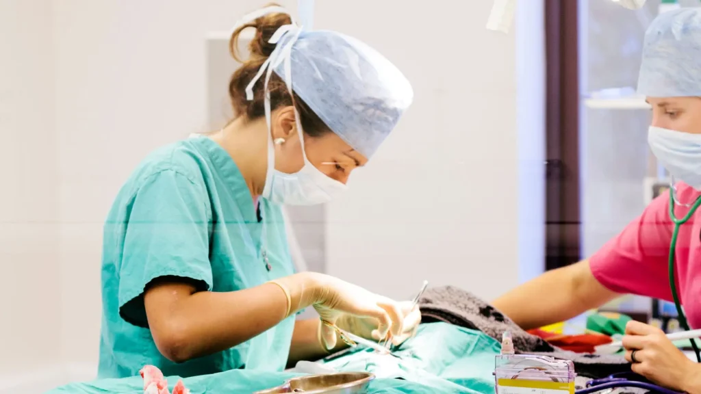 Tree Vet Cabinet Farmacie Veterinară București Stomatologie Veterinară