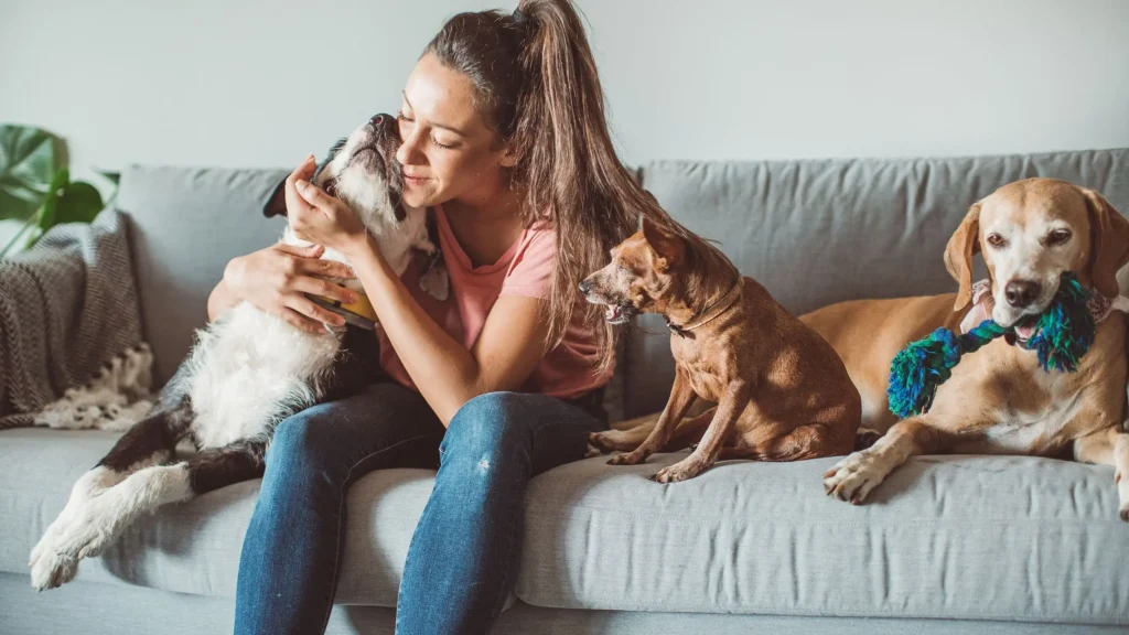 TreeVet Cabinet și farmacie veterinară București