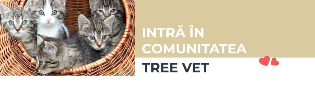 TreeVet Cabinet și farmacie veterinară București