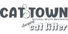 Cat Town logo